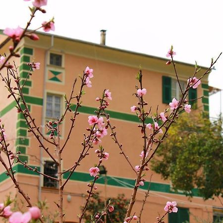 Appartamento Di Prestigio- Ca Da Lina - Deiva Marina Buitenkant foto