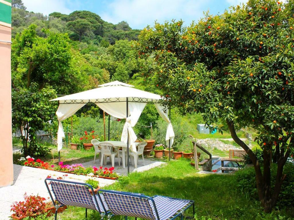 Appartamento Di Prestigio- Ca Da Lina - Deiva Marina Buitenkant foto